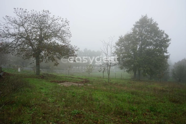 Terreno para Venda em Pera do Moço Foto 6
