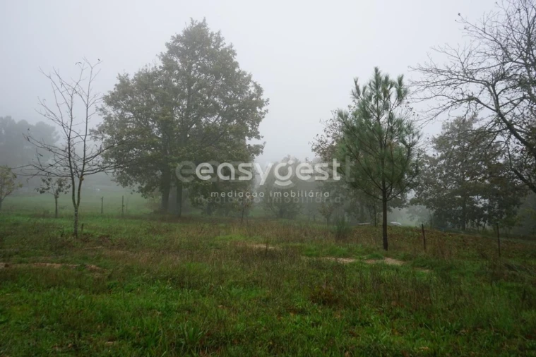 Terreno para Venda em Pera do Moço Foto 7
