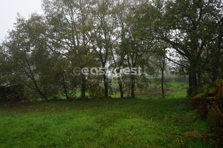 Terreno para Venda em Pera do Moço Foto 12