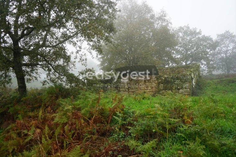 Terreno para Venda em Pera do Moço Foto 14