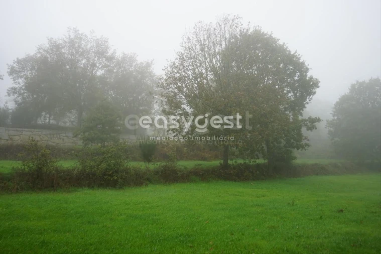 Terreno para Venda em Pera do Moço Foto 18
