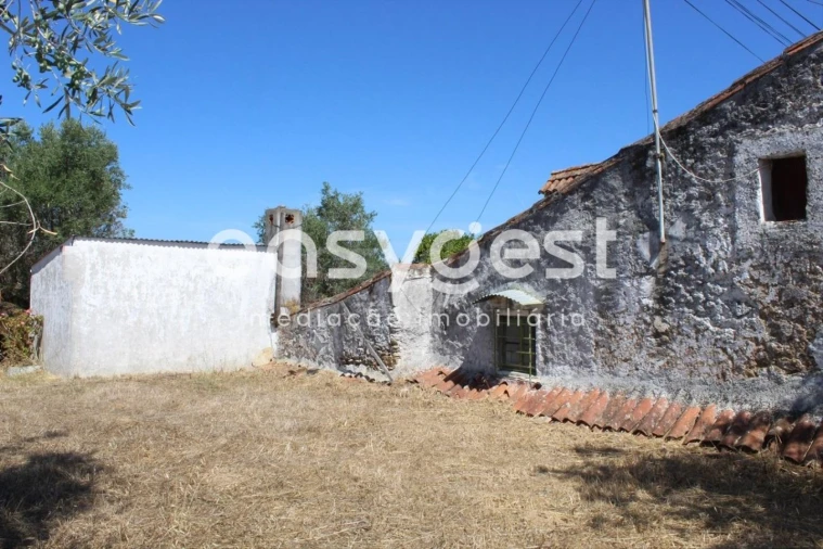 Moradia T2 para Venda em Mouriscas Foto 4