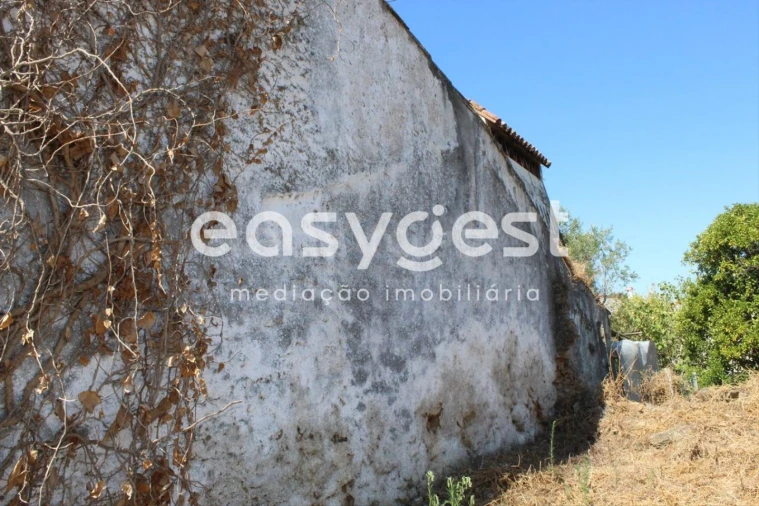 Moradia T2 para Venda em Mouriscas Foto 10