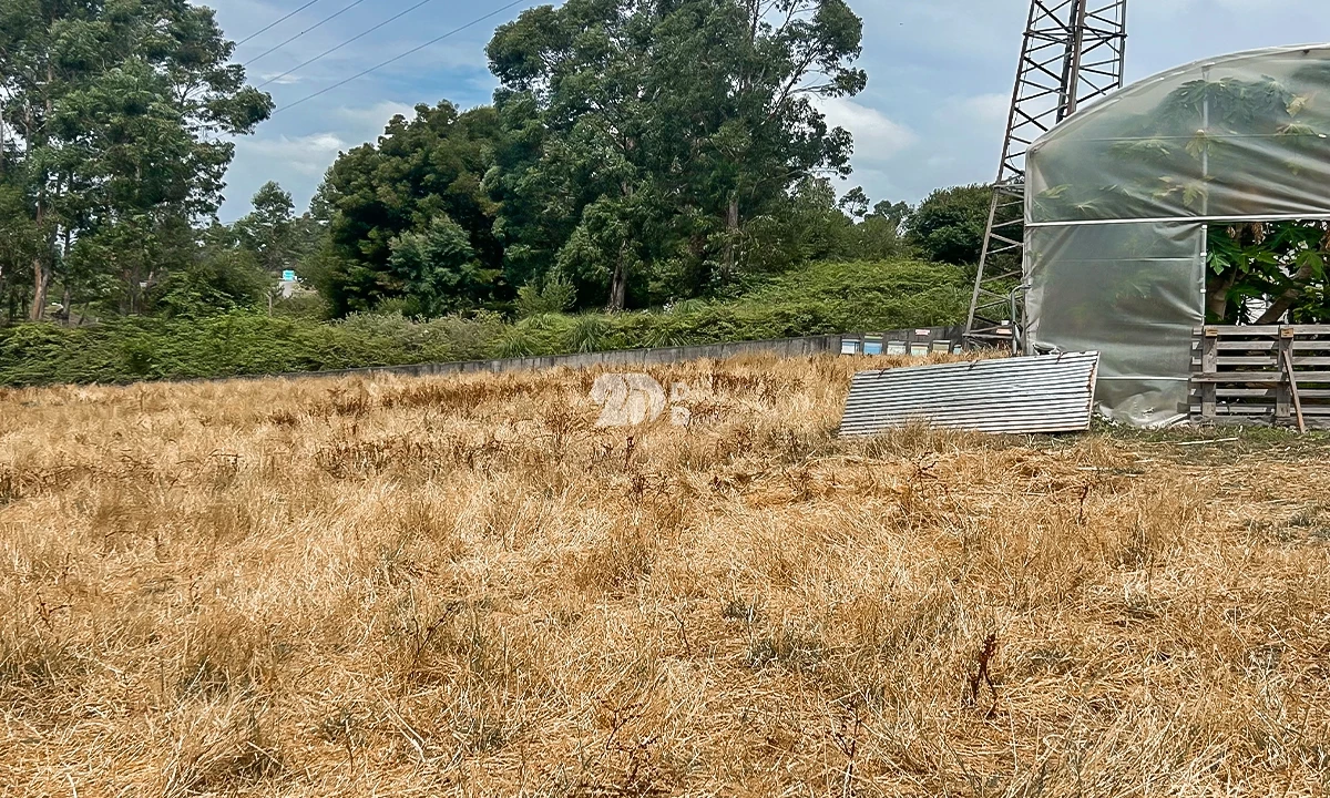 Terreno para Venda em Vila Nova de Famalicão e Calendário Foto 4