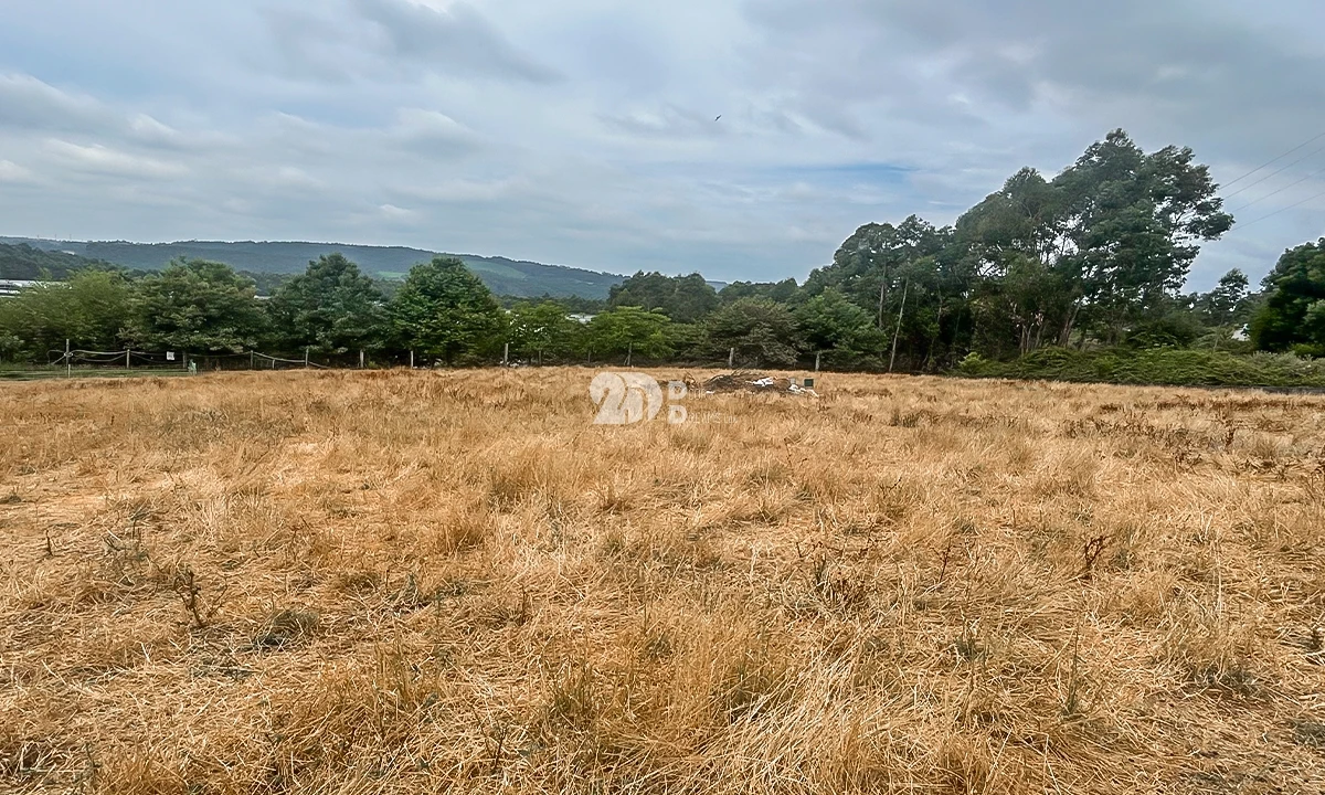 Terreno para Venda em Vila Nova de Famalicão e Calendário Foto 2