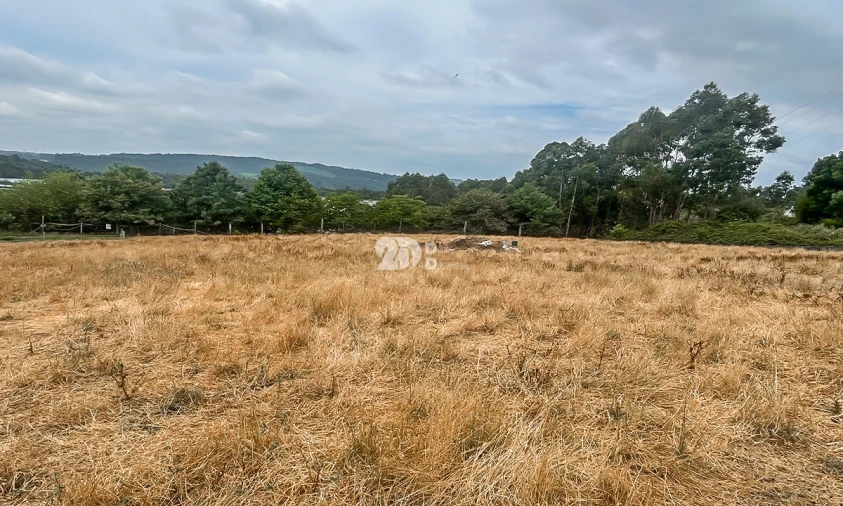 Terreno para Venda em Vila Nova de Famalicão e Calendário Foto 2