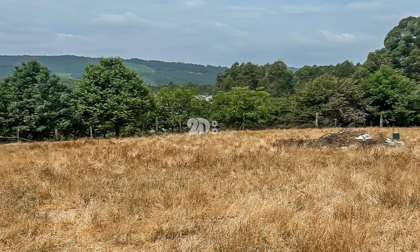 Terreno para Venda em Vila Nova de Famalicão e Calendário Foto 5