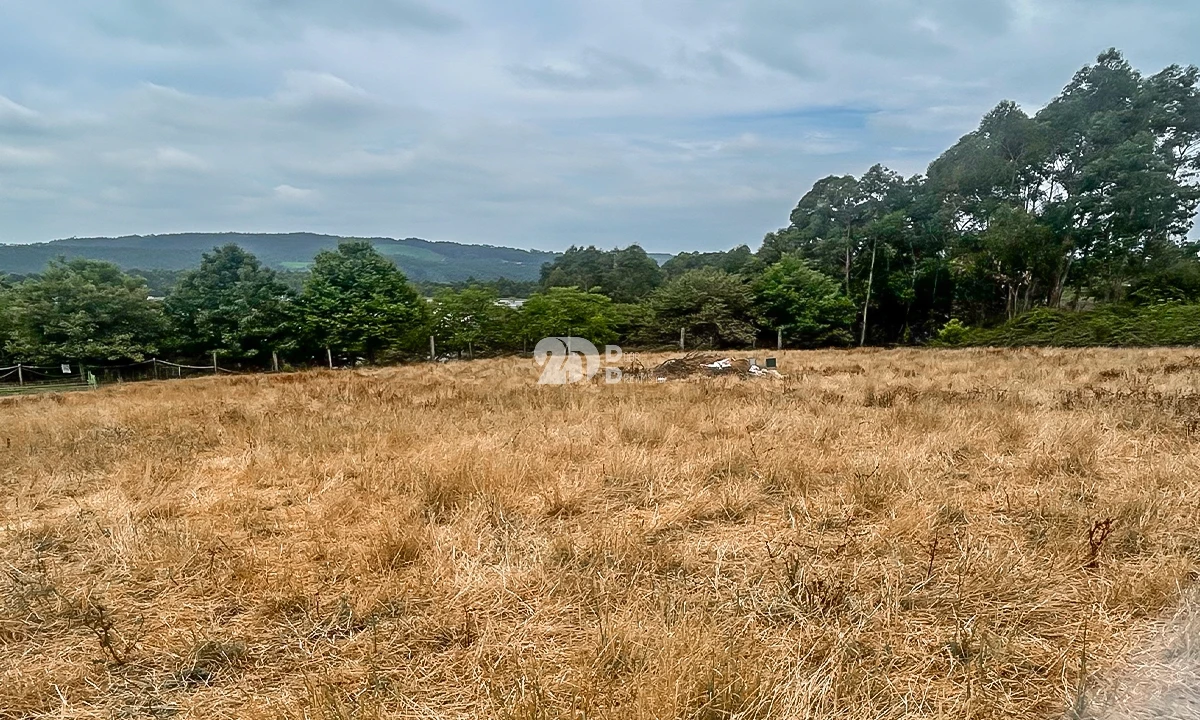 Terreno para Venda em Vila Nova de Famalicão e Calendário Foto 3