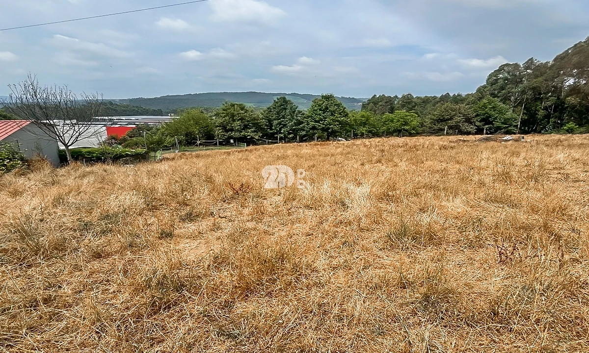 Terreno para Venda em Vila Nova de Famalicão e Calendário Foto 6