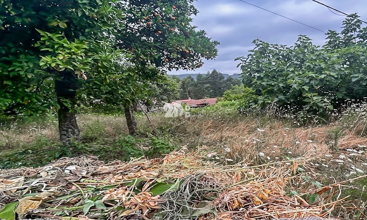 Moradia T3 para Venda em Arnoso (Santa Maria e Santa Eulália) e Sezures Foto 12