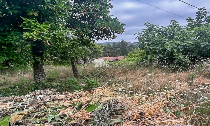 Moradia T3 para Venda em Arnoso (Santa Maria e Santa Eulália) e Sezures Foto 12