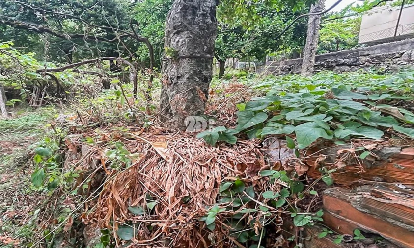 Moradia T3 para Venda em Arnoso (Santa Maria e Santa Eulália) e Sezures Foto 3
