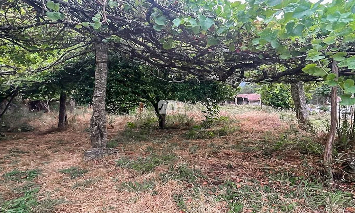 Moradia T3 para Venda em Arnoso (Santa Maria e Santa Eulália) e Sezures Foto 9