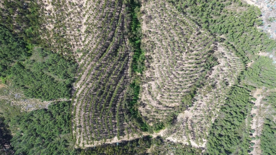 Terreno Agricola ou Rústico para Venda em Fratel Foto 11