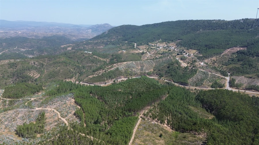 Terreno Agricola ou Rústico para Venda em Fratel Foto 12