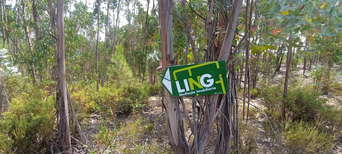 Terreno Agricola ou Rústico para Venda em Fratel Foto 25