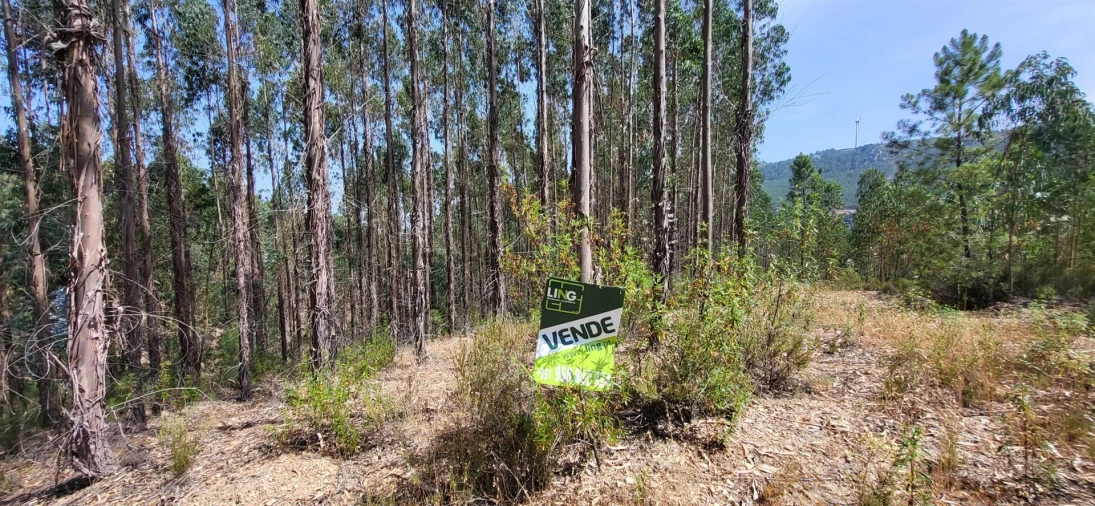 Terreno Agricola ou Rústico para Venda em Fratel Foto 23