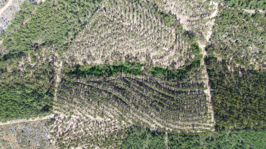 Terreno Agricola ou Rústico para Venda em Fratel Foto 10