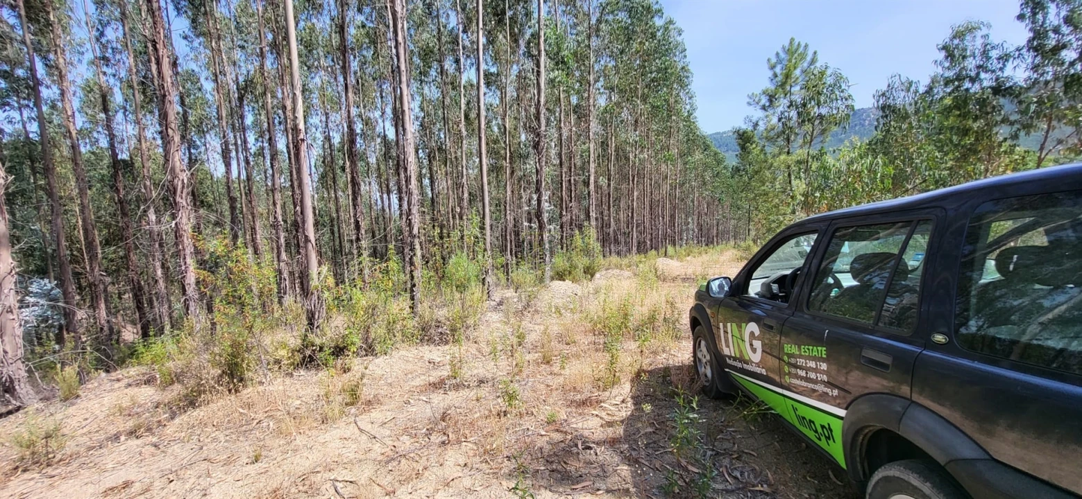 Terreno Agricola ou Rústico para Venda em Fratel Foto 17