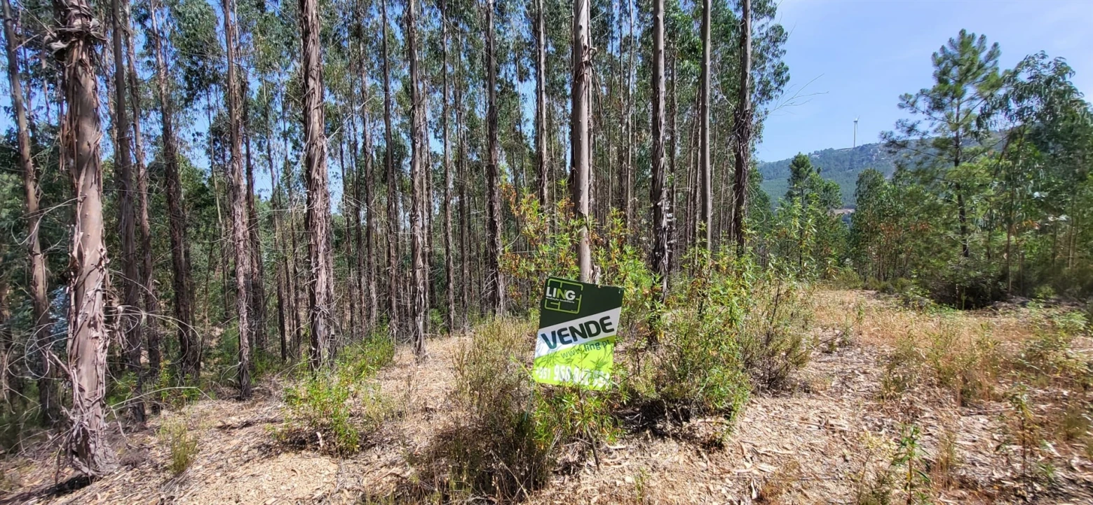 Terreno Agricola ou Rústico para Venda em Fratel Foto 23