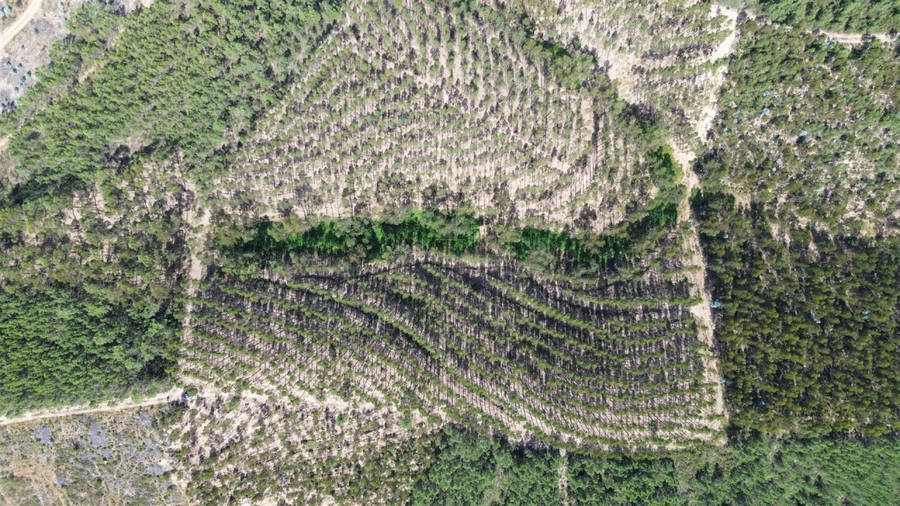 Terreno Agricola ou Rústico para Venda em Fratel Foto 10
