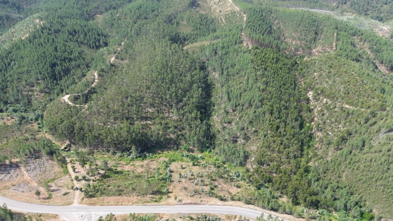 Terreno Agricola ou Rústico para Venda em Fratel Foto 5