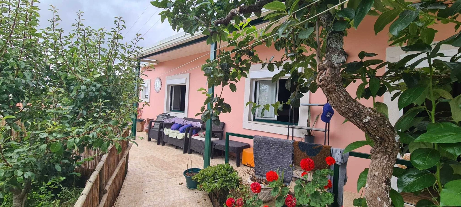 Moradia T1 para Venda em Ribafria e Pereiro de Palhacana Foto 17