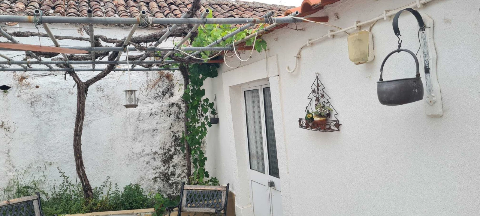 Moradia T1 para Venda em Ribafria e Pereiro de Palhacana Foto 2