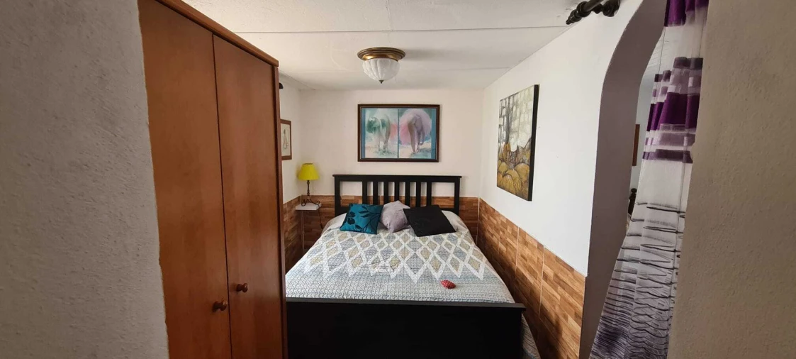 Moradia T1 para Venda em Ribafria e Pereiro de Palhacana Foto 8