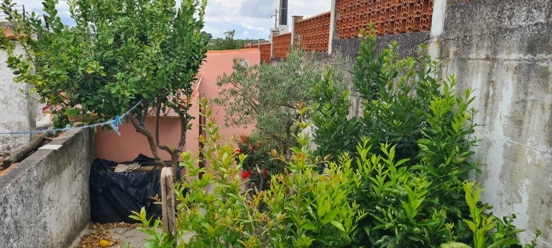 Moradia T1 para Venda em Ribafria e Pereiro de Palhacana Foto 19