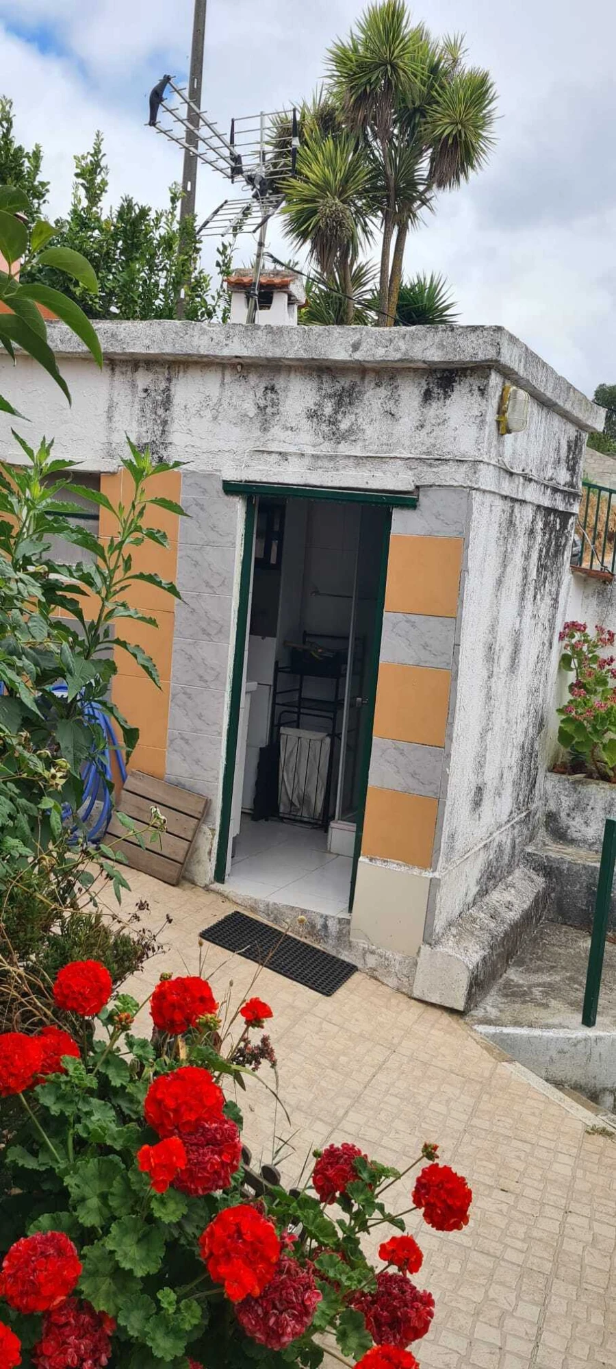 Moradia T1 para Venda em Ribafria e Pereiro de Palhacana Foto 18