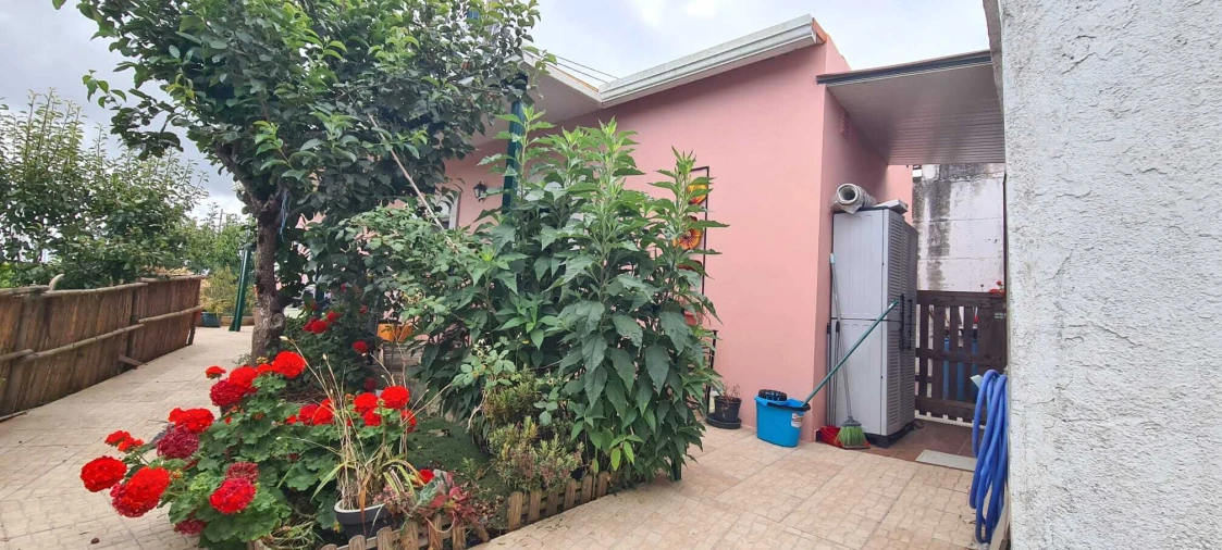 Moradia T1 para Venda em Ribafria e Pereiro de Palhacana Foto 15