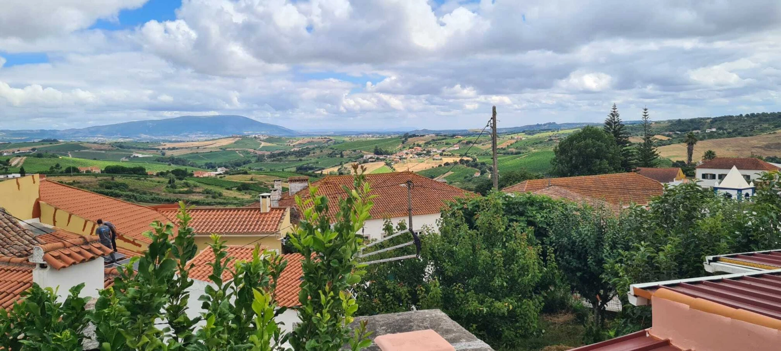 Moradia T1 para Venda em Ribafria e Pereiro de Palhacana Foto 1