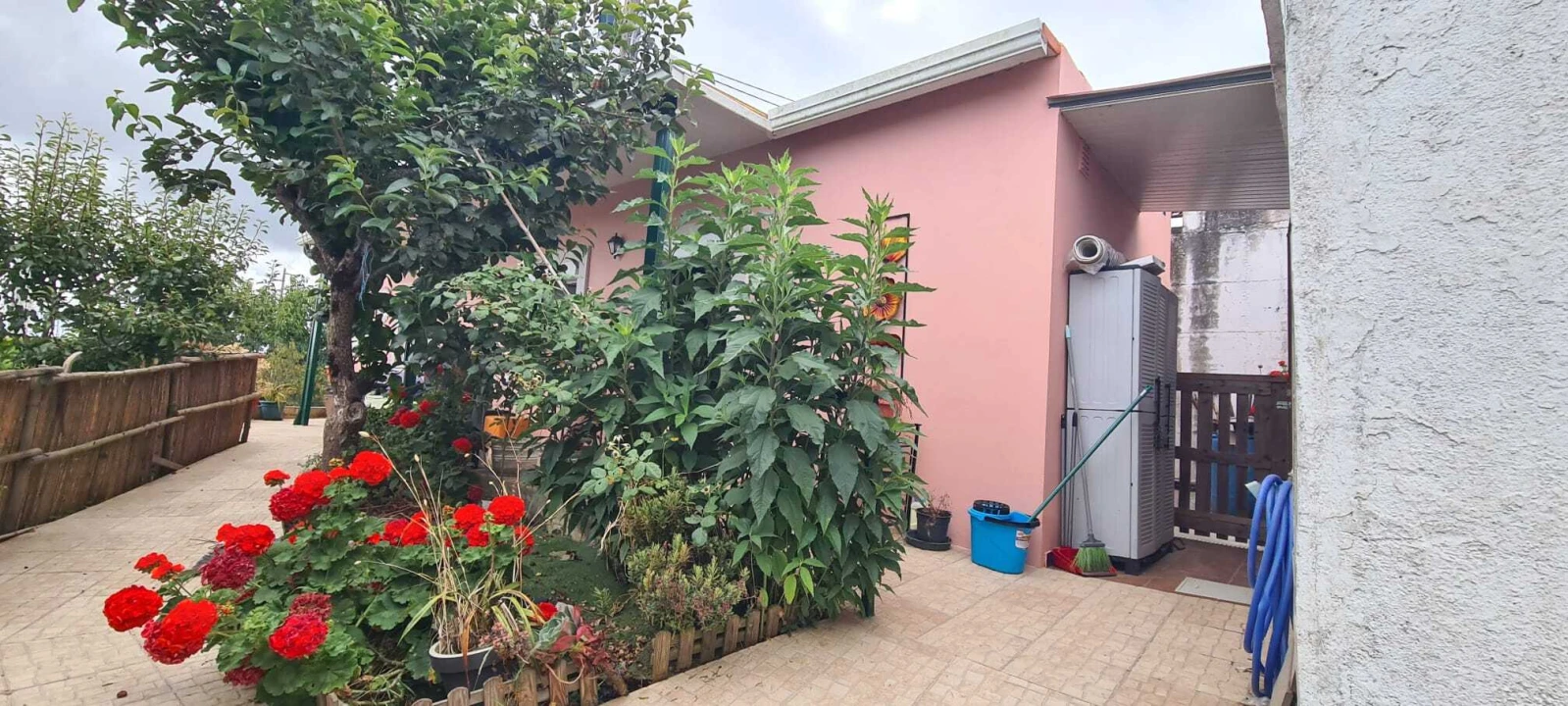 Moradia T1 para Venda em Ribafria e Pereiro de Palhacana Foto 15