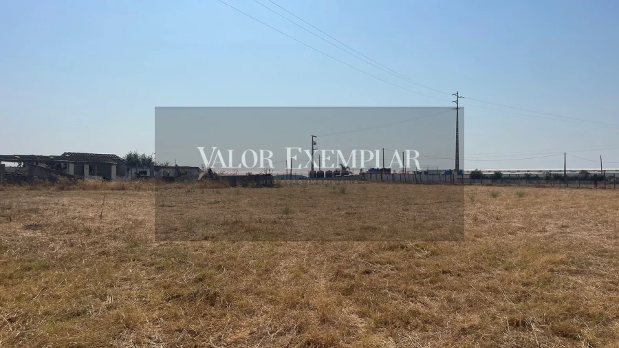 Terreno para Venda em Sarilhos Grandes Foto 10