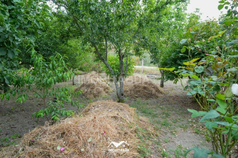 Moradia T2 para Venda em São João de Areias Foto 22