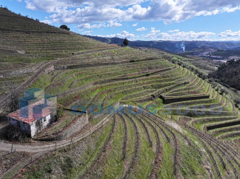 Quinta para Venda em Sever Foto 8