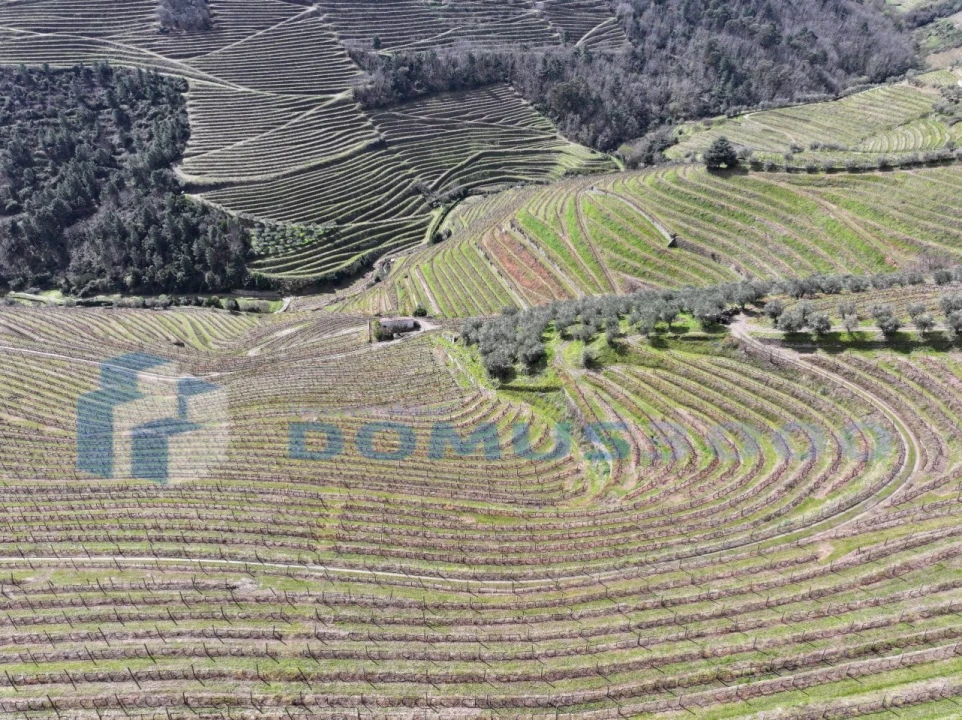 Quinta para Venda em Sever Foto 10