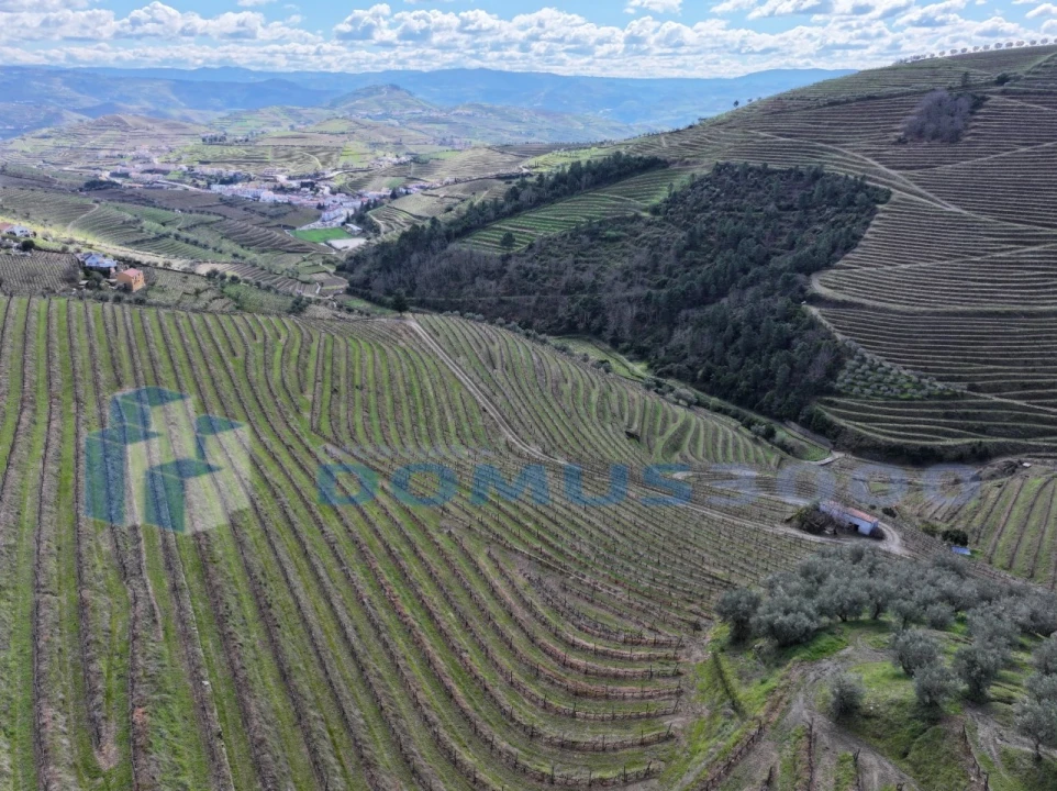 Quinta para Venda em Sever Foto 20