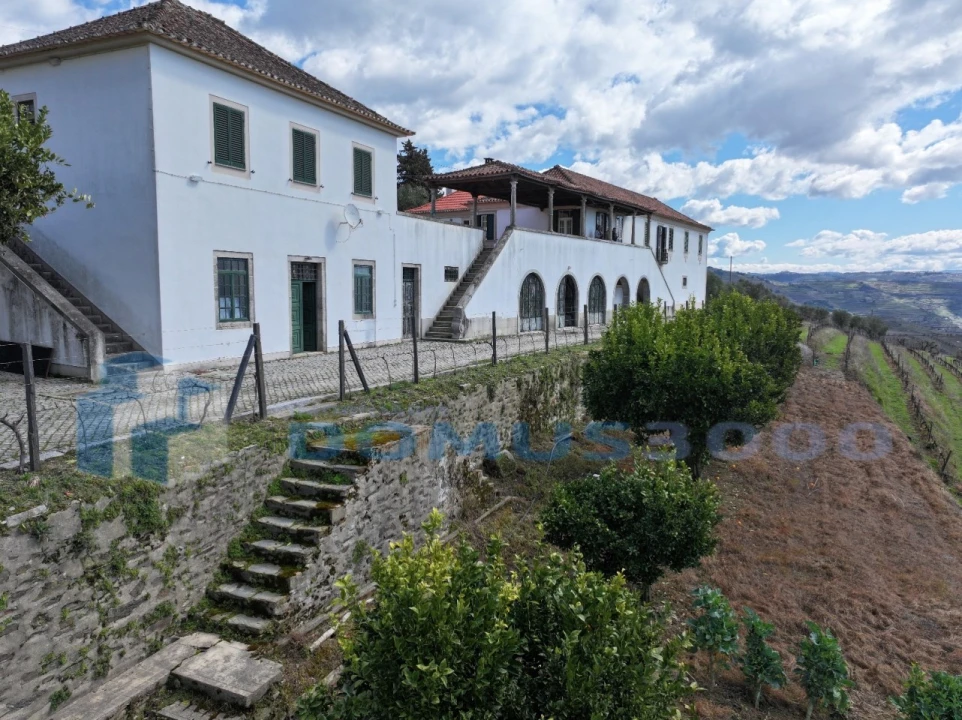 Quinta para Venda em Sever Foto 22