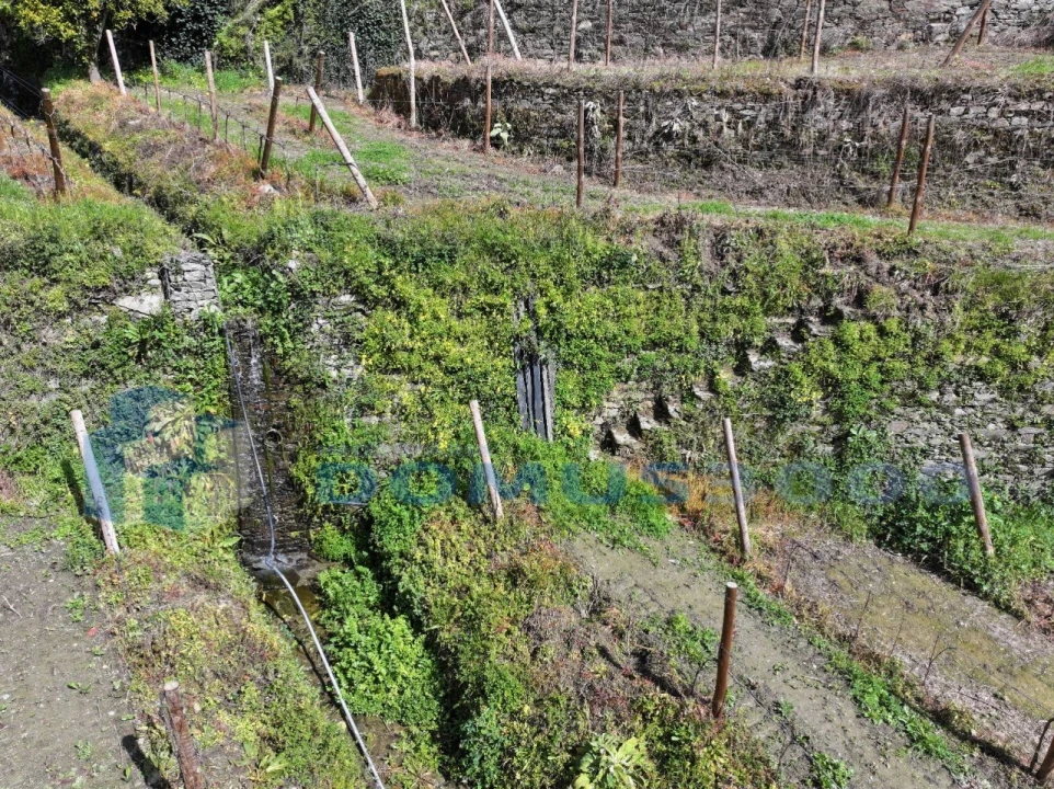 Quinta para Venda em Sever Foto 35