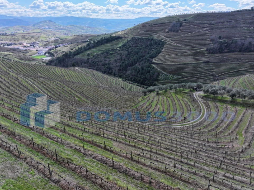 Quinta para Venda em Sever Foto 38