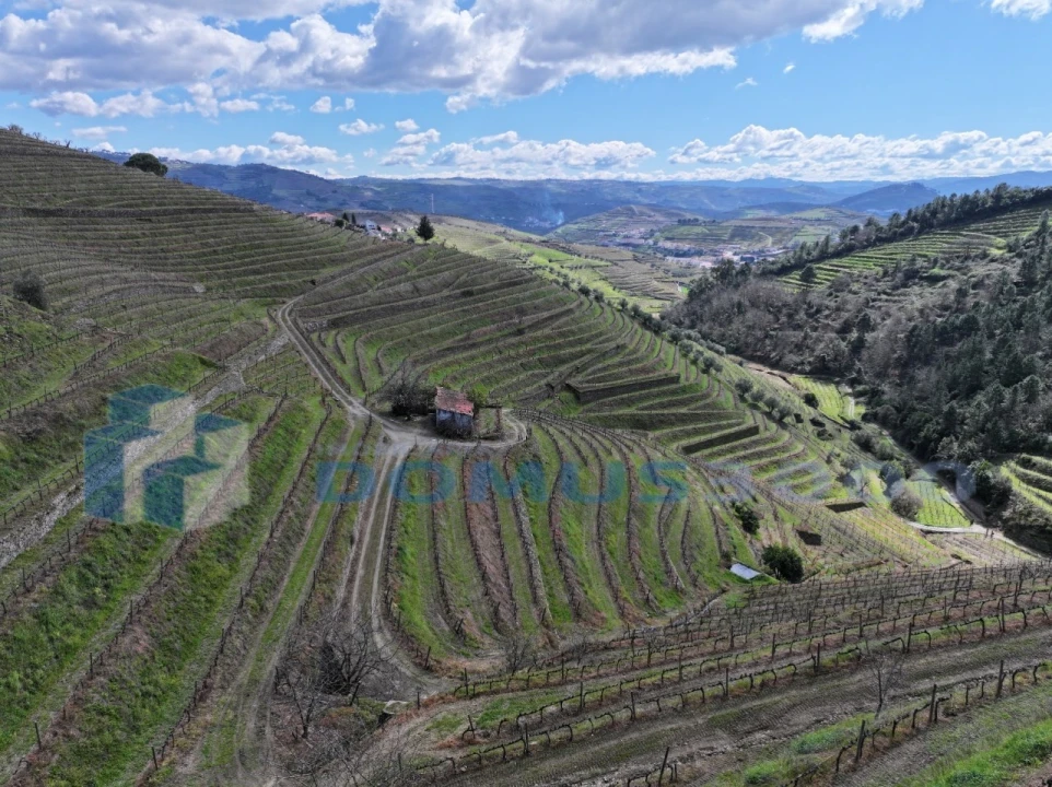 Quinta para Venda em Sever Foto 42