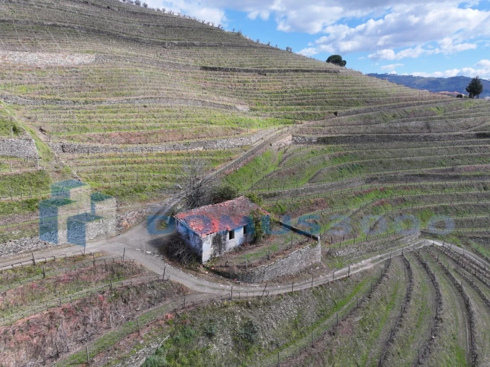 Quinta para Venda em Sever Foto 43