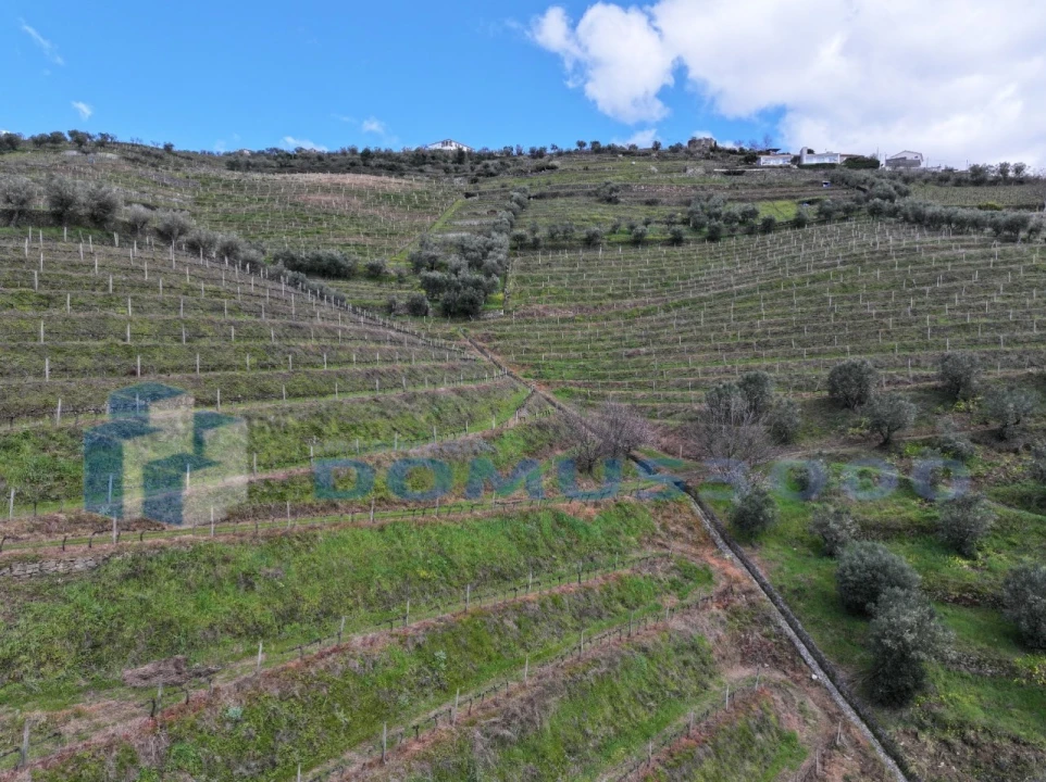 Quinta para Venda em Sever Foto 47