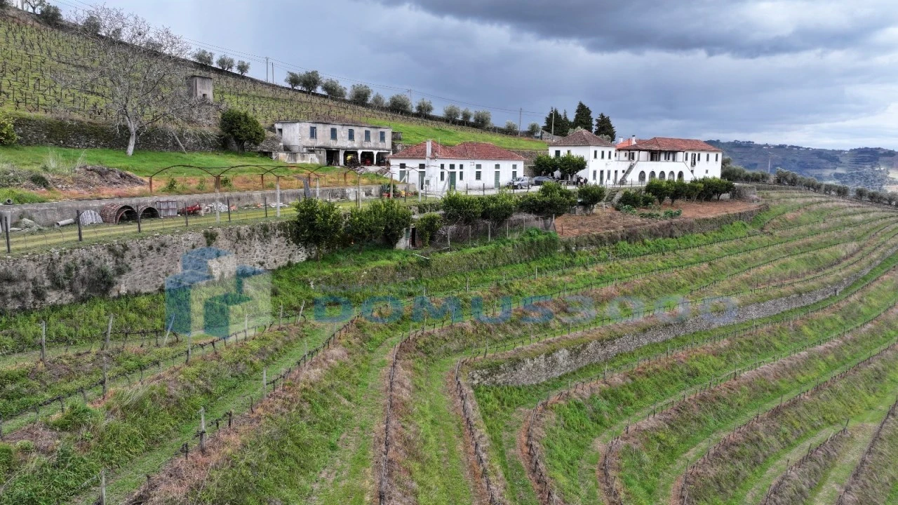 Quinta para Venda em Sever Foto 48