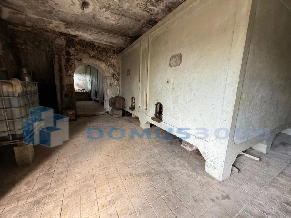 Quinta para Venda em Sever Foto 87