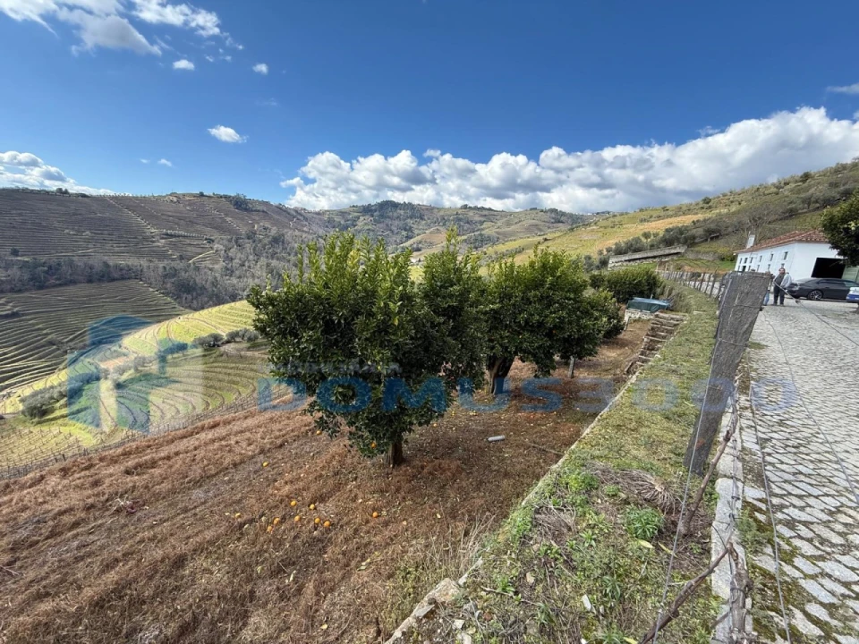 Quinta para Venda em Sever Foto 89