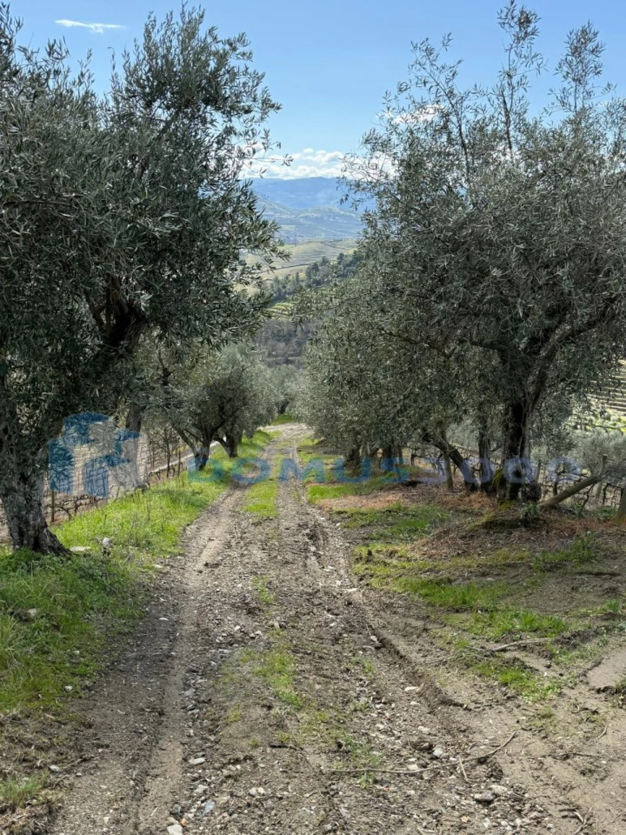 Quinta para Venda em Sever Foto 99