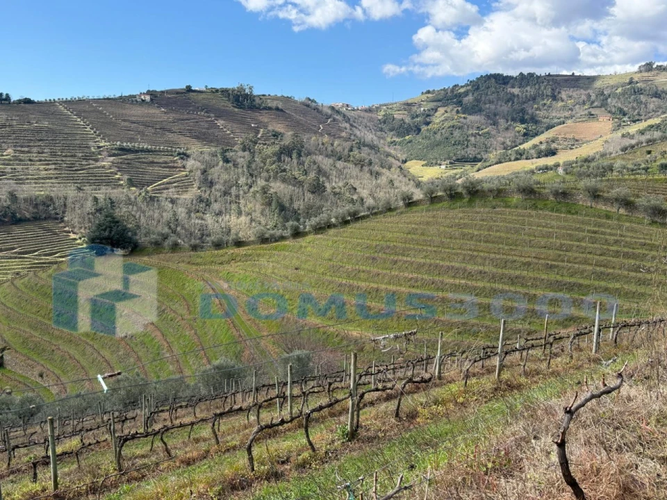 Quinta para Venda em Sever Foto 100